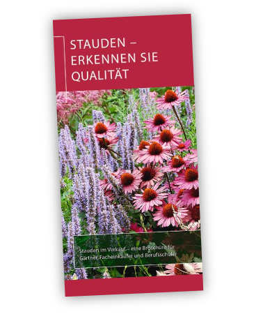 BdS-Broschüre „Stauden-erkennen Sie Qualität“ neu aufgelegt